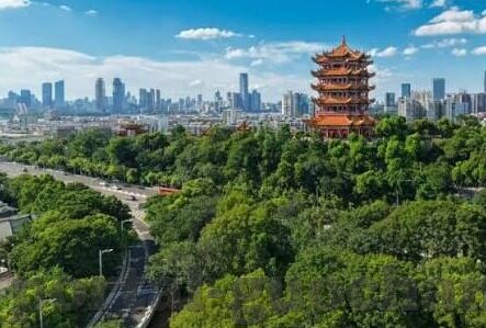 免费在线伦理电影-免费在线伦理电影，道德与艺术的完美融合